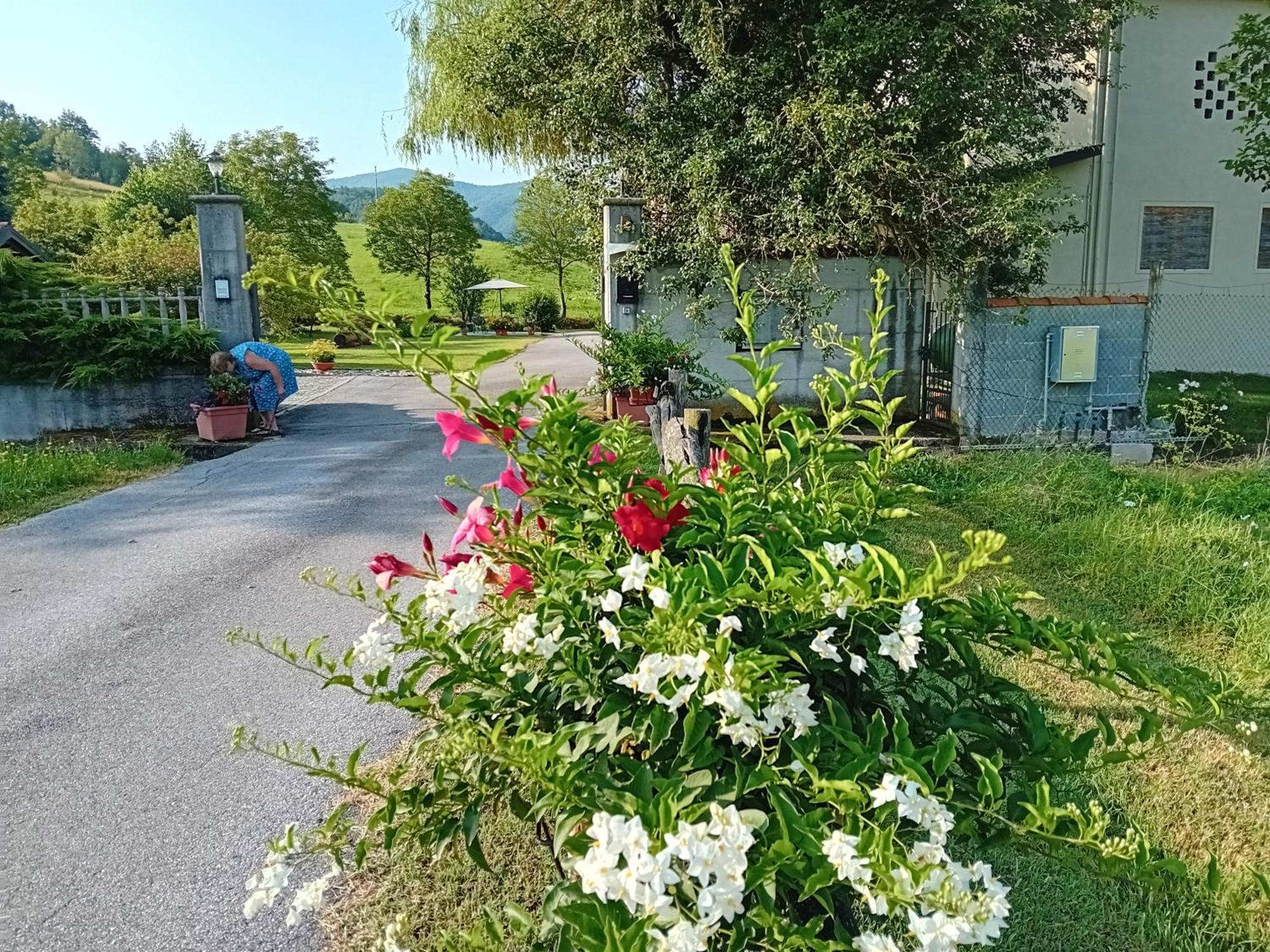 L'Isola Dla Cerrea Bed & Breakfast Mombasiglio Eksteriør bilde